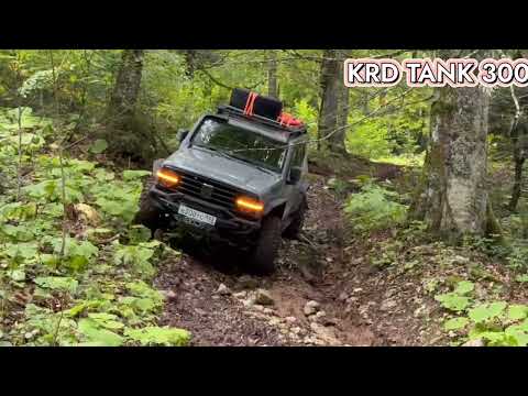 Видео: #tank300 может #4х4 #offroad #mud #300 #offroading #atlas #mountains #adventure #automobile 