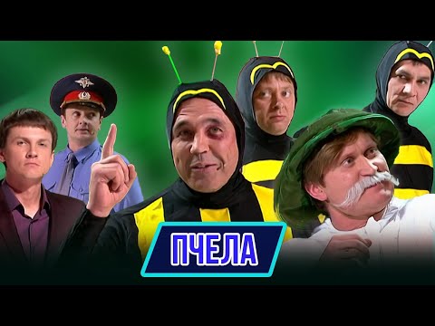 Видео: Номер Пчела – Концерт От томата до заката