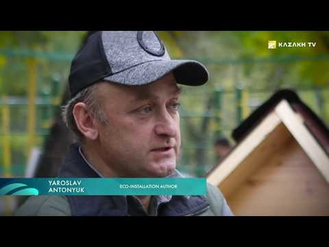 Видео: Балхаш кўлига саёҳат