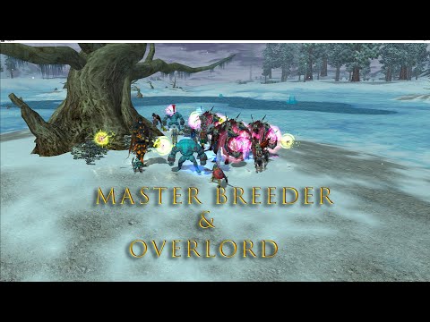 Видео: Rappelz Gameplay за Укротителя и Некроманта /Gameplay  Master Breeder and Overlord