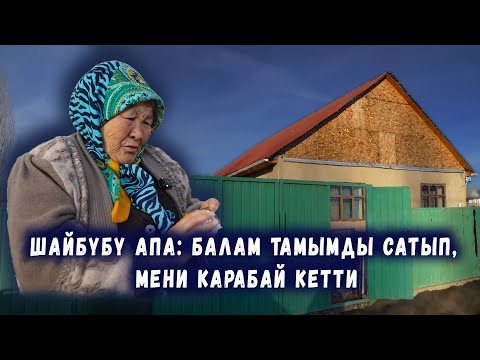 Видео: Шайбүбү апа: Балам тамымды сатып, мени карабай кетти // Там талаш // Сокол Медиа