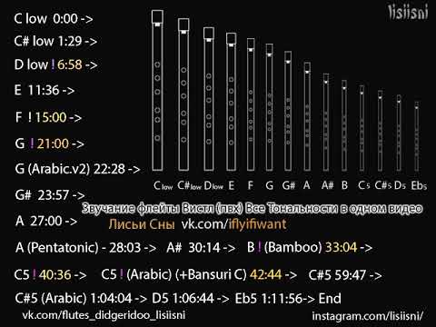 Видео: Вистл сравнение - все тональности в одном видео - Какую флейту выбрать #2