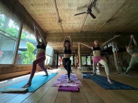 Видео: 14 ноября 2025 г.