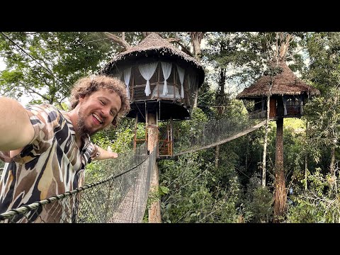 Видео: Этот отель построен на ДЕРЕВЬЯХ | Tree Lodge Амазонка