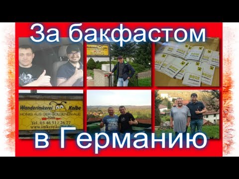 Видео: За бакфастом🐝Весенний круиз в Германию за зимовалыми матками