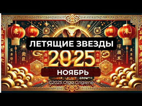 Видео: ЛЕТЯЩИЕ ЗВЕЗДЫ НОЯБРЬ 2025