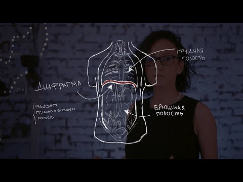 Видео: ДИАФРАГМА. Упражнения для голоса.