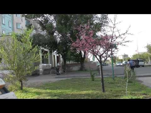 Видео: Весна . Шахтинск 2013 год.