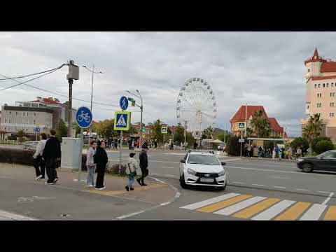 Видео: Сириус.Прогулка