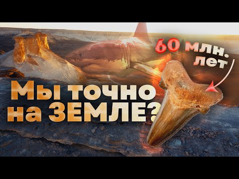 Видео: МАНГИСТАУ | ПО МЕСТАМ, КОТОРЫХ НЕТ НА КАРТЕ🦈| В ПОИСКАХ ЗУБОВ АКУЛ