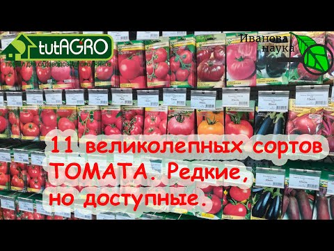 Видео: 11 надежных томатов ДЛЯ ЛЕНИВЫХ ПОСАДИЛ И ЗАБЫЛ с устойчивостью к кладоспориозу и фитофторе!