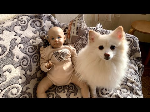 Видео: VLOG: Алиса смотрит мультики. Утро с реборном. Мы в гостях.