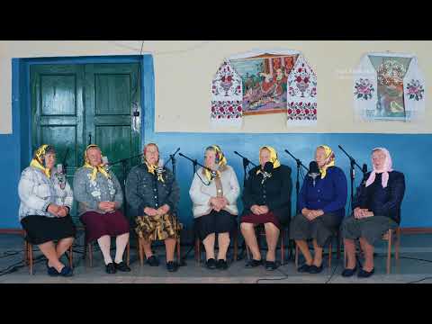 Видео: На городі верба рясна /// polyphonyproject.com