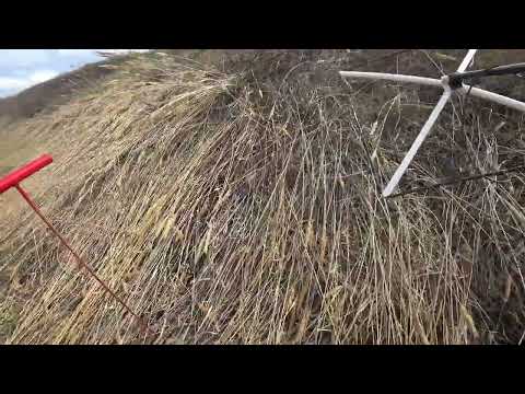 Видео: КОЩЕЙ-5И и Поисковый щуп