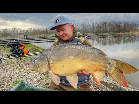 Видео: Ловля карпа весной 2021.  Рыбалка на красивом озере "Золотой берег".