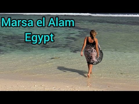 Видео: Royal Brayka, Brayka Bay 2023 обзор отеля  и бухты с черепахами. Египет.  Egypt Marsa Alam.