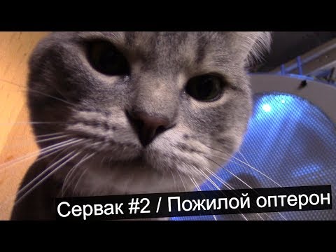 Видео: 2х процессорный AMD / Часть #2 / Тестируем пожилую немощь