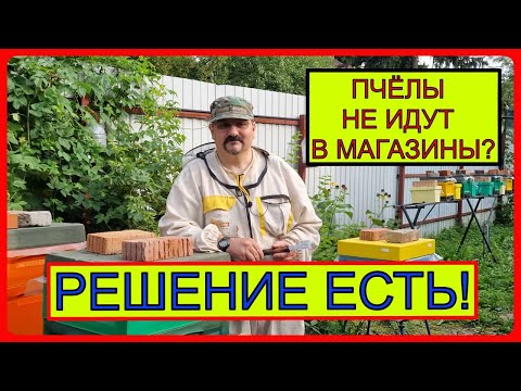 Видео: 🔴 Пчёлы не идут в магазины? - Подскажу простое решение! Видео по пчеловодству для начинающих 2022 🔴