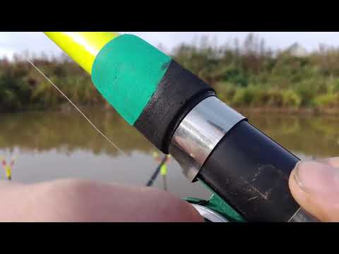 Видео: Осенняя рыбалка на попловок на пожарке.#fishing#карась#бычок 