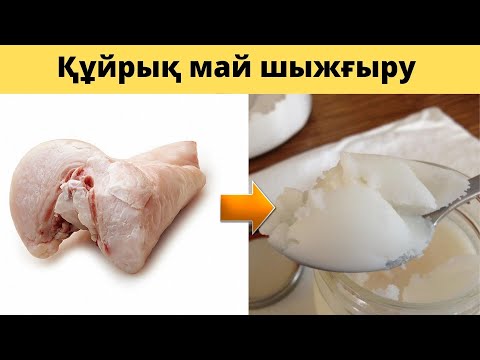 Видео: Құйрық май шыжғыру | Қойдың құйрық майының пайдасы | Шұжық жасау | Құйрық майды еріту