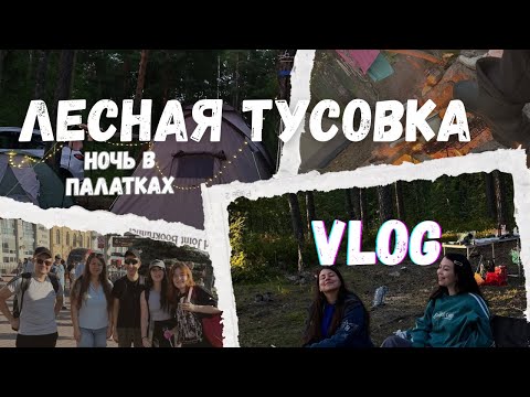 Видео: VLOG| Ночёвка в лесу: друзья, костер и палатки| отдых в Кузнечном