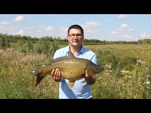 Видео: 2017.08.15_Ай да фидер #9_Рыбалка в Подлесном