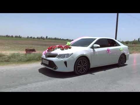 Видео: Туй дар н.Фархор чд ватан д.Кухандиёри  1.