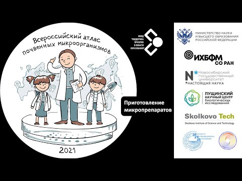 Видео: Приготовление микропрепаратов и микроскопия