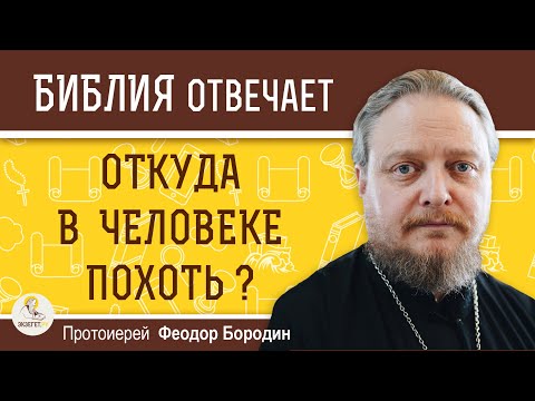 Видео: Откуда в человеке ПОХОТЬ ?  Протоиерей Феодор Бородин
