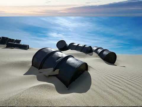 Видео: Шойна — беломорская пустыня