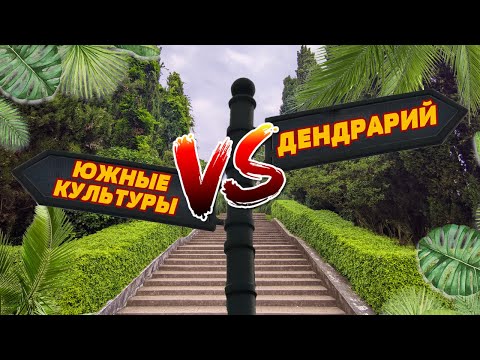 Видео: Парк Южный культуры в Адлере VS Парк Дендрарий в Сочи | ЧТО ПОСМОТРЕТЬ | Цены | НЕДООЦЕНЕННЫЙ ПАРК
