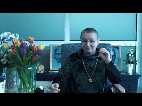 Видео: Просветление. Пробуждение. Живая встреча (семинар) в Германии с Пранджали день 3 часть 2.