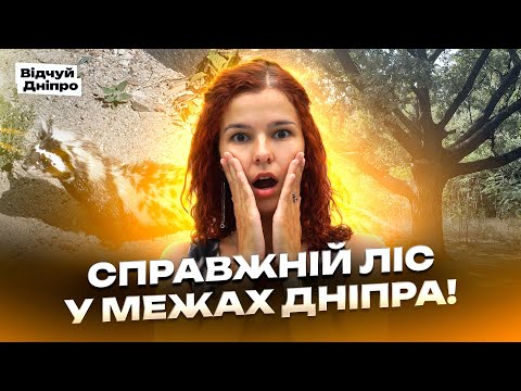 Видео: Де у Дніпрі сховатися від шуму міста? ЛісоПарк і Куряче озеро 🌿