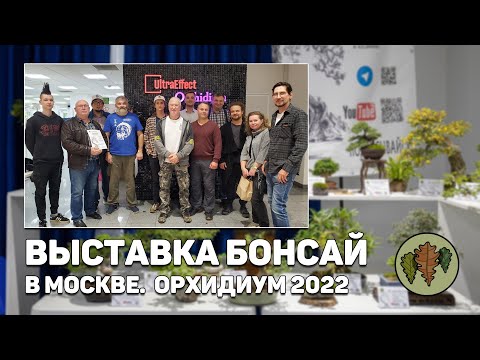 Видео: Выставка бонсай на Орхидиуме 2022