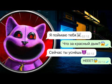 Видео: Кот Дремот пришёл усыпить меня