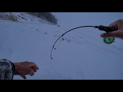 Видео: ВОЛОСЫ ДЫБОМ от ЭТИХ РЫБИН!ШОКИРУЮЩАЯ РЫБАЛКА!! Килограммовые окуни,судак ! Снегоход Бурлак Егерь