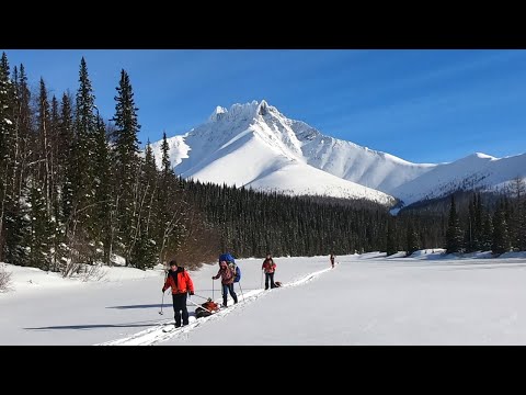 Видео: Приполярный Урал. Лыжный поход | Желанное Народная Манарага Косью