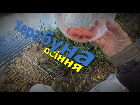 Видео: ХЕРАБУНА ЖОВТНЕВА - Продовжуєм сезон! #herabuna #fishing  #floating #cruciancarp #タナゴ  #ヘラブナ
