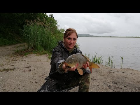 Видео: Ловля карася и сазана. Рыбалка в Амурской области. Прядчино.