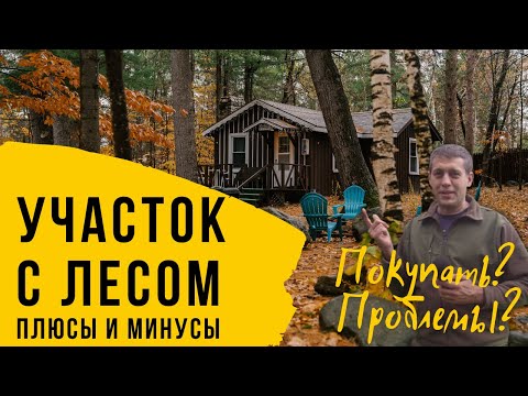 Видео: Участок в лесу. Минусы лесных участков для ИЖС