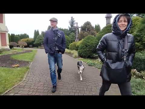 Видео: Путешествие по Беларуси🇧🇾Сморгонь🕍наш Нотр Дам, самый высокий Костел в Беларуси #сморгонь #гервяты 