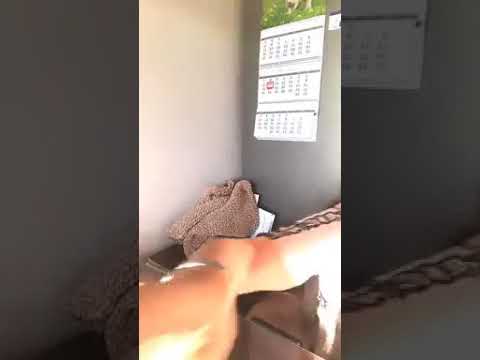 Видео: Татьяна Африкантова. Как прокладкой привлечь мужчину