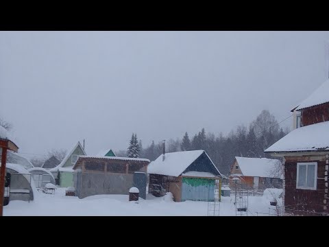 Видео: Зима на даче. Вдвоём легче.