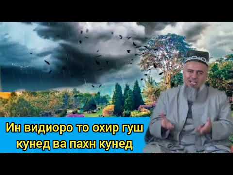 Видео: ДОМУЛЛО АБДУРАХИМ НАВ