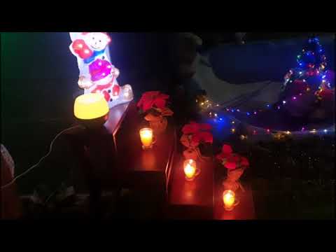 Видео: Синица