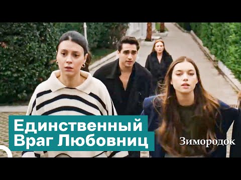 Видео: Сейран Вцепилась В ВОЛОСЫ ПЕЛИН | Зимородок 20 Cерия