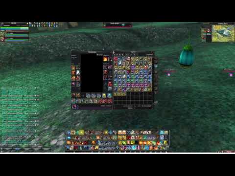 Видео: Rappelz. Рейт на приручение активирован. Приручить 24+10...