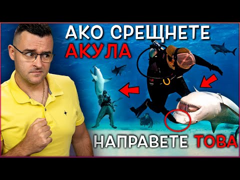 Видео: 50 Невероятни Факта, които на 100% ЩЕ ИСКАТЕ да Запомните