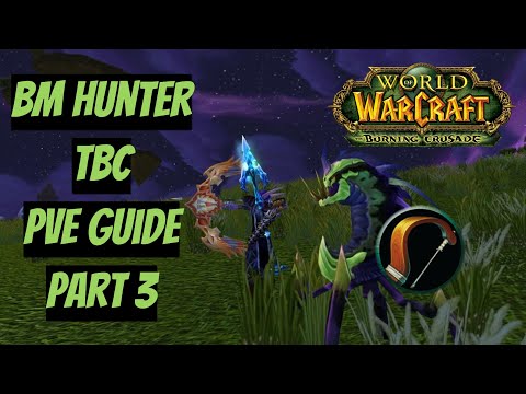Видео: Стрелы, лук и верный друг! | БМ Охотник ПВЕ Гайд | BM Hunter PVE Guide | WoW Burning Crusade(TBC) №3
