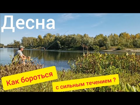 Видео: Как ловить фидером на сильном течении на реке Десна